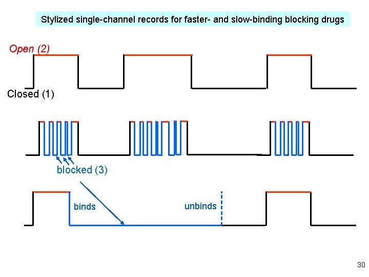 Stylized single-channel records for faster- and slow-binding blocking drugs Open (2) Closed (1) blocked