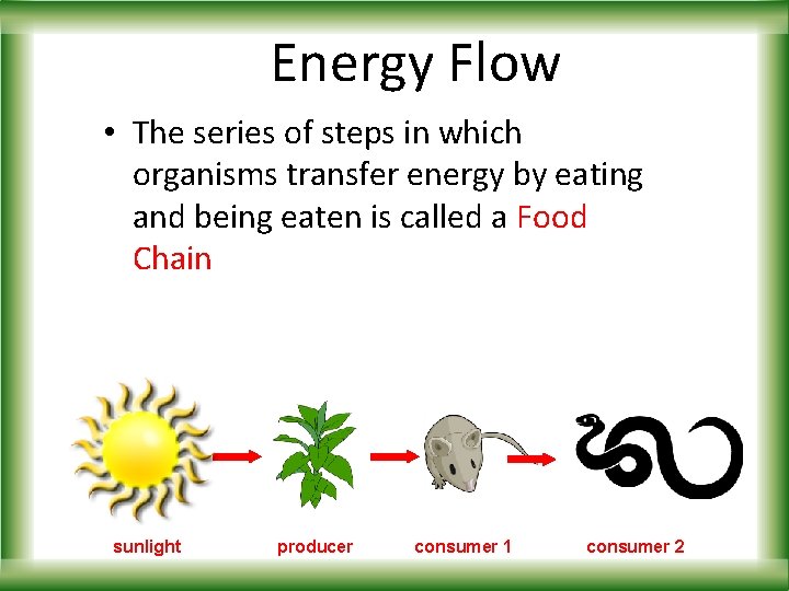 Energy Flow • The series of steps in which organisms transfer energy by eating