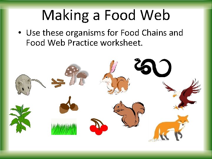 Making a Food Web • Use these organisms for Food Chains and Food Web