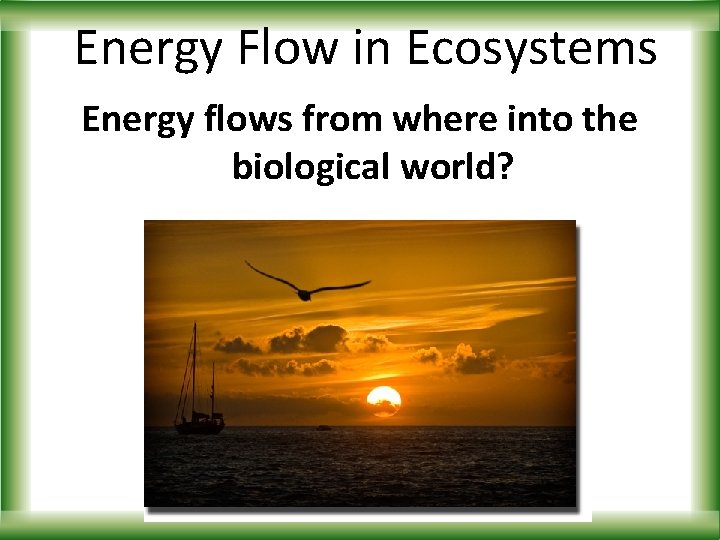 Energy Flow in Ecosystems Energy flows from where into the biological world? 