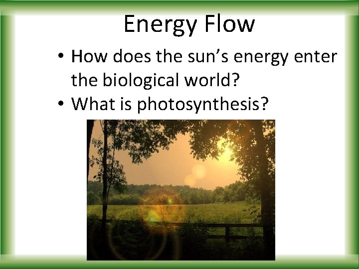 Energy Flow • How does the sun’s energy enter the biological world? • What