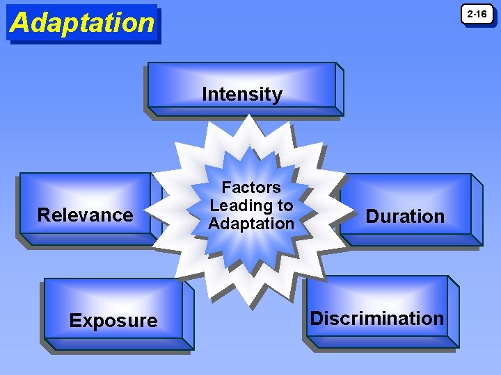 Adaptation 2 -16 Intensity Relevance Exposure Factors Leading to Adaptation Duration Discrimination Adaptation 2 -16 Intensity Relevance Exposure Factors Leading to Adaptation Duration Discrimination