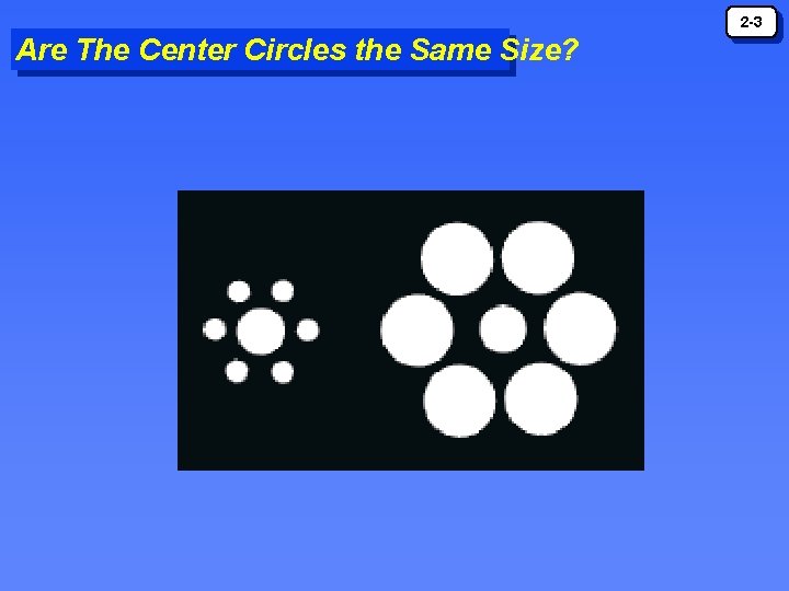 2 -3 Are The Center Circles the Same Size? 2 -3 Are The Center Circles the Same Size?