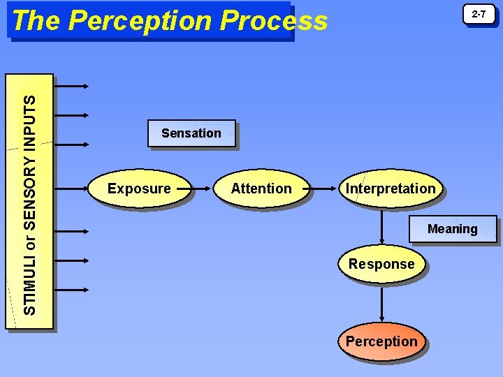 STIMULI or SENSORY INPUTS The Perception Process 2 -7 Sensation Exposure Attention Interpretation Meaning STIMULI or SENSORY INPUTS The Perception Process 2 -7 Sensation Exposure Attention Interpretation Meaning
