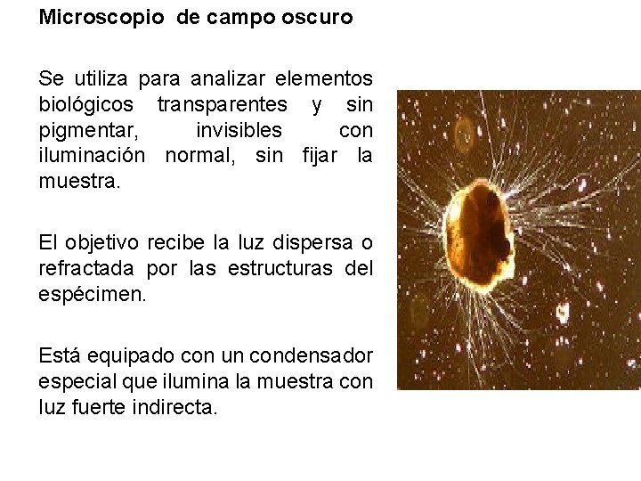 Microscopio de campo oscuro Se utiliza para analizar elementos biológicos transparentes y sin pigmentar, Microscopio de campo oscuro Se utiliza para analizar elementos biológicos transparentes y sin pigmentar,