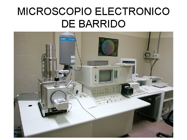 MICROSCOPIO ELECTRONICO DE BARRIDO MICROSCOPIO ELECTRONICO DE BARRIDO