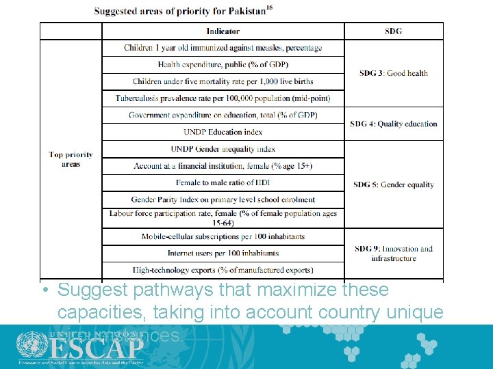  • Suggest pathways that maximize these capacities, taking into accountry unique circumstances. 