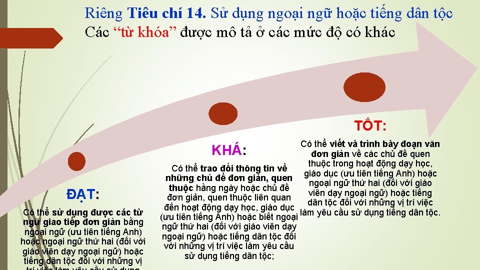 Riêng Tiêu chí 14. Sử dụng ngoại ngữ hoặc tiếng dân tộc Các “từ