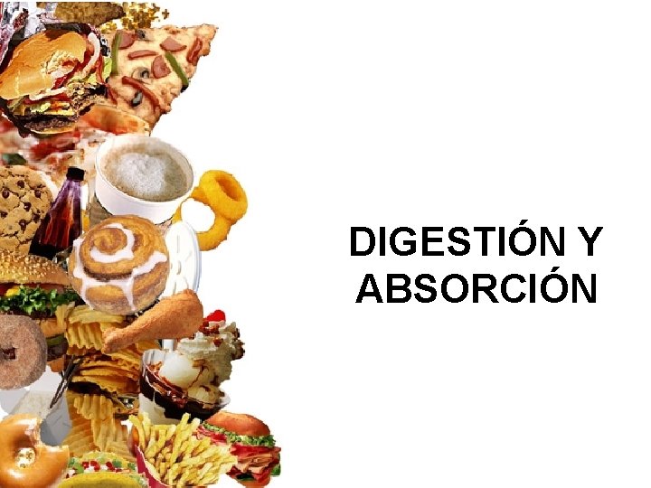 DIGESTIÓN Y ABSORCIÓN 