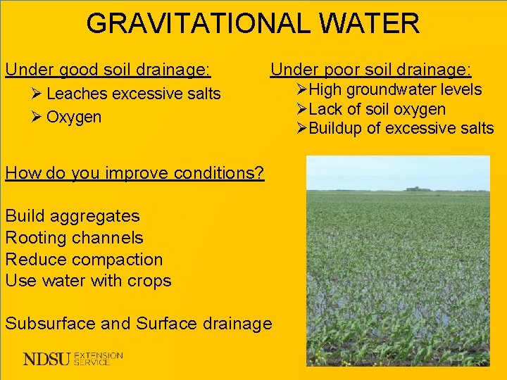 GRAVITATIONAL WATER Under good soil drainage: Under poor soil drainage: Ø Leaches excessive salts