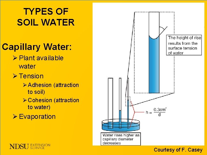 TYPES OF SOIL WATER Capillary Water: Ø Plant available water Ø Tension Ø Adhesion