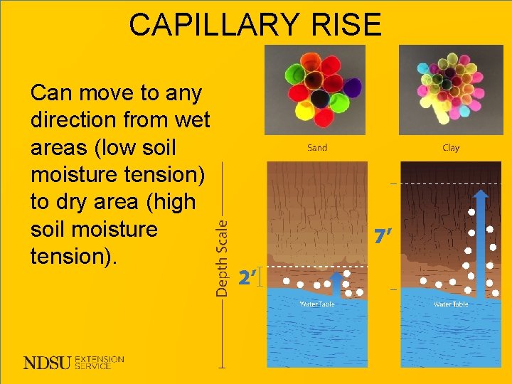 CAPILLARY RISE Can move to any direction from wet areas (low soil moisture tension)