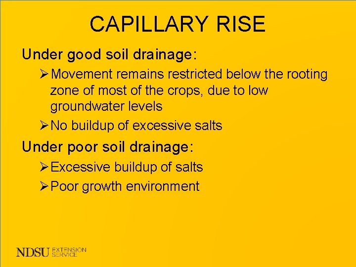 CAPILLARY RISE Under good soil drainage: ØMovement remains restricted below the rooting zone of