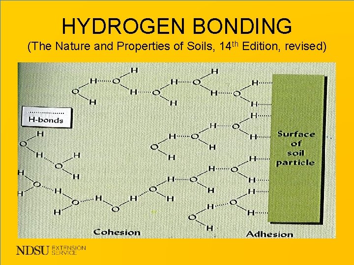 HYDROGEN BONDING (The Nature and Properties of Soils, 14 th Edition, revised) 