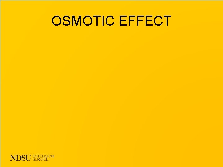 OSMOTIC EFFECT 