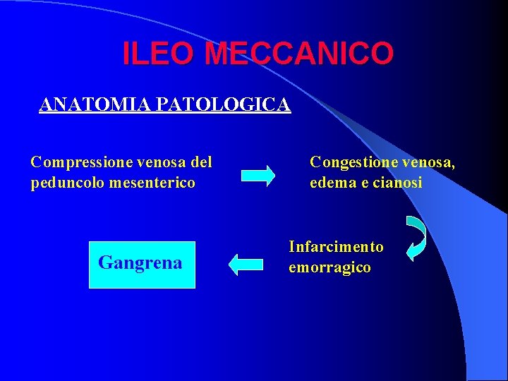 ILEO MECCANICO ANATOMIA PATOLOGICA Compressione venosa del peduncolo mesenterico Gangrena Congestione venosa, edema e