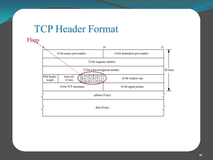 TCP Header format 10 