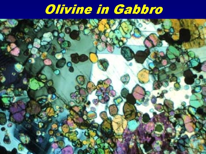 Olivine in Gabbro 