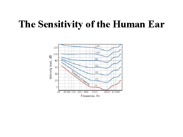 The Sensitivity of the Human Ear 