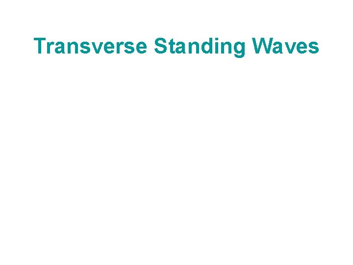 Transverse Standing Waves 