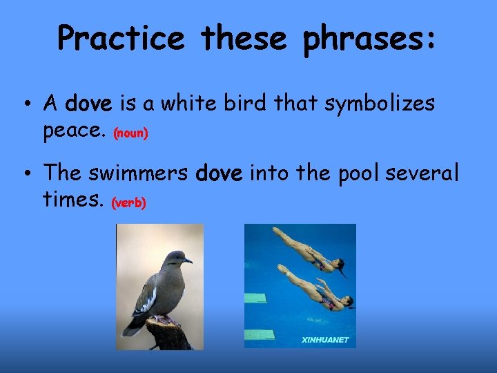 Practice these phrases: • A dove is a white bird that symbolizes peace. (noun)