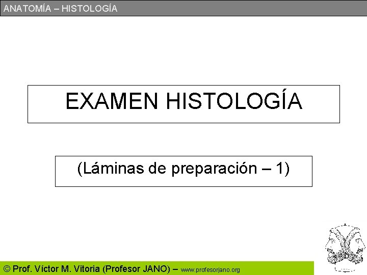 ANATOMÍA – HISTOLOGÍA EXAMEN HISTOLOGÍA (Láminas de preparación – 1) © Prof. Víctor M.