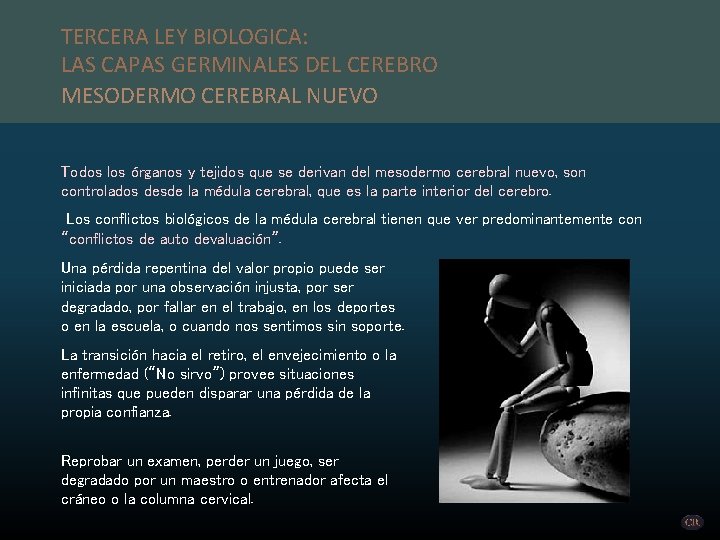 TERCERA LEY BIOLOGICA: LAS CAPAS GERMINALES DEL CEREBRO MESODERMO CEREBRAL NUEVO Todos los órganos