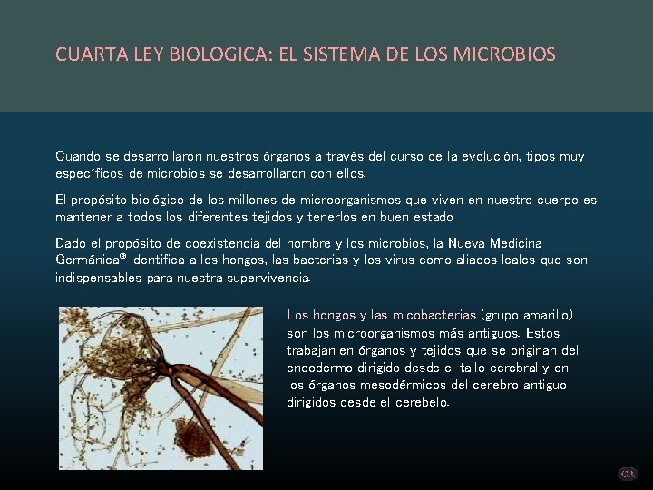 CUARTA LEY BIOLOGICA: EL SISTEMA DE LOS MICROBIOS Cuando se desarrollaron nuestros órganos a