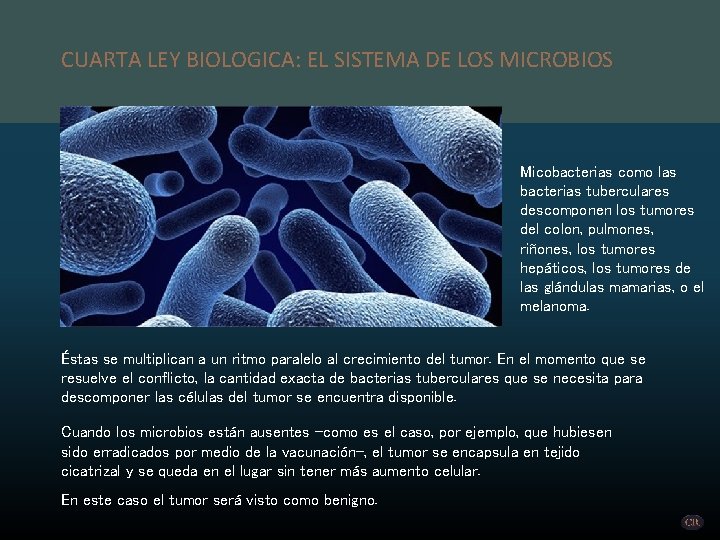 CUARTA LEY BIOLOGICA: EL SISTEMA DE LOS MICROBIOS Micobacterias como las bacterias tuberculares descomponen