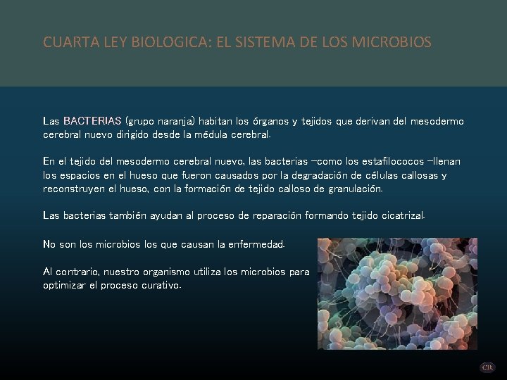 CUARTA LEY BIOLOGICA: EL SISTEMA DE LOS MICROBIOS Las BACTERIAS (grupo naranja) habitan los