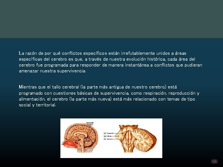 La razón de por qué conflictos específicos están irrefutablemente unidos a áreas específicas del