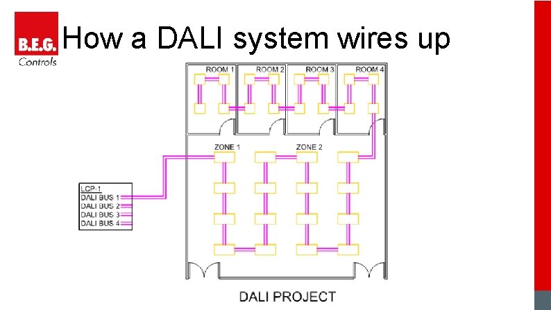 How a DALI system wires up 