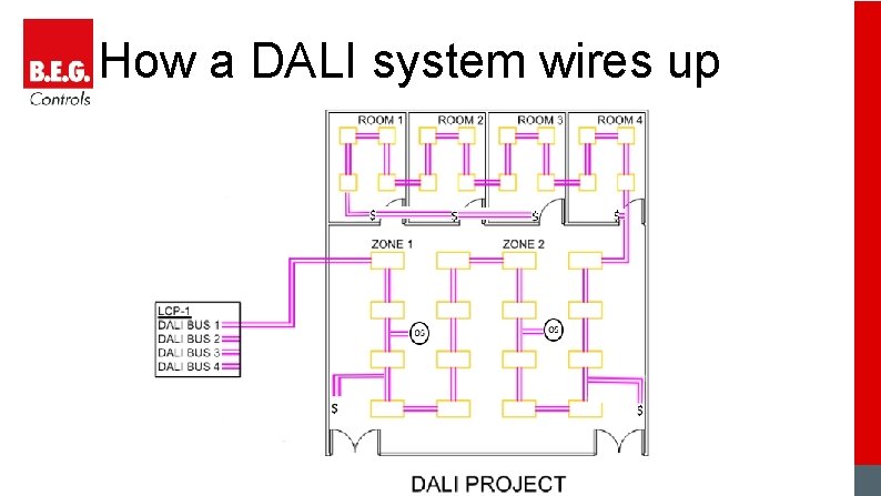 How a DALI system wires up 