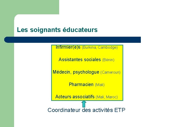 Les soignants éducateurs Infirmier(e)s (Burkina, Cambodge) Assistantes sociales (Bénin) Médecin, psychologue (Cameroun) Pharmacien (Mali)