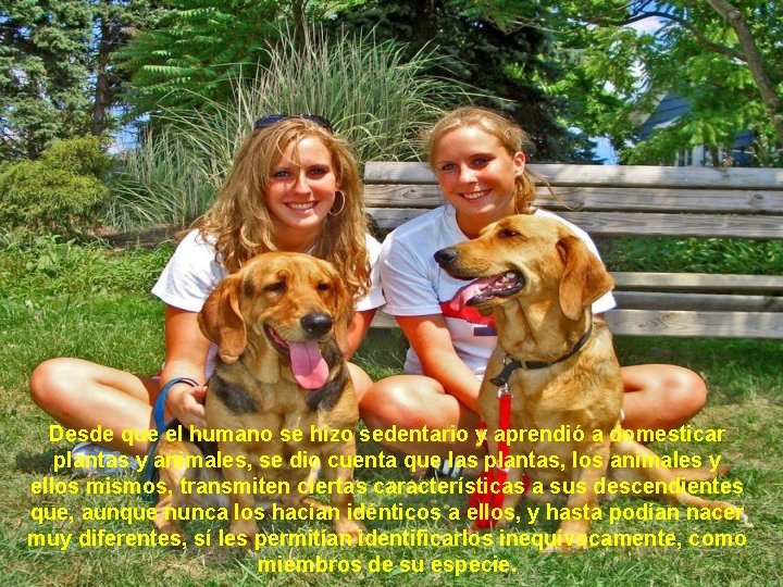 Desde que el humano se hizo sedentario y aprendió a domesticar plantas y animales,