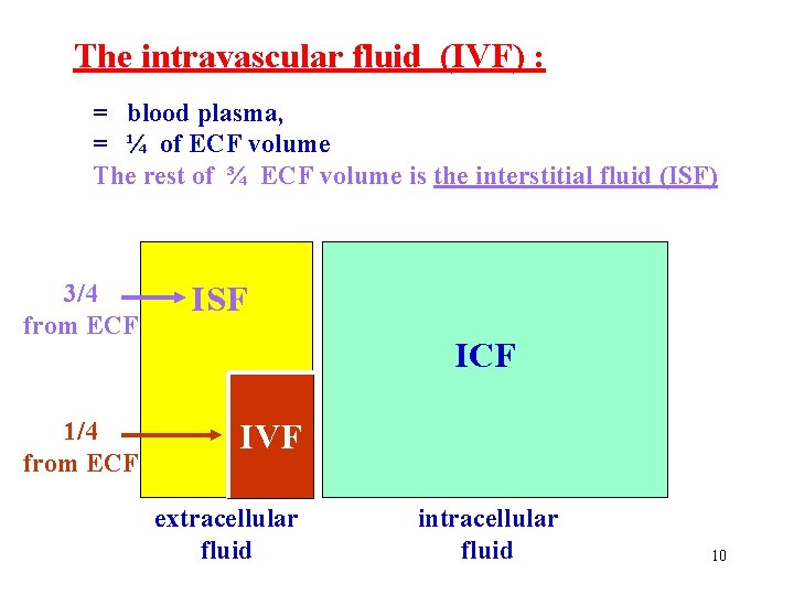 The intravascular fluid (IVF) : = blood plasma, = ¼ of ECF volume The