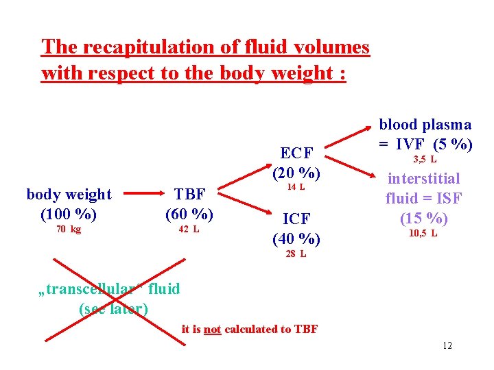 The recapitulation of fluid volumes with respect to the body weight : ECF (20