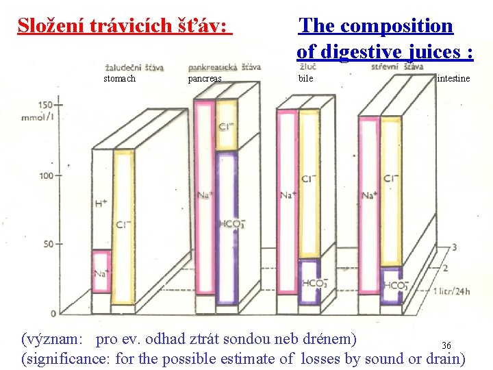 Složení trávicích šťáv: The composition of digestive juices : stomach pancreas bile intestine (význam: