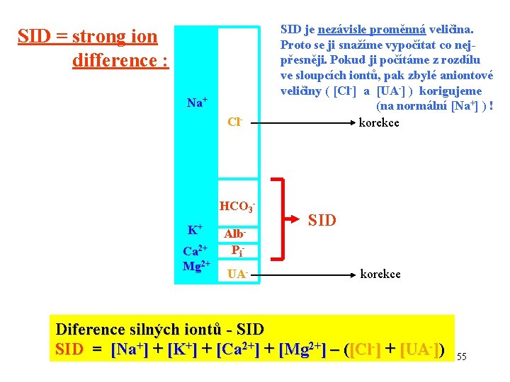 SID = strong ion difference : Na+ Cl- HCO 3 K+ Alb- Ca 2+