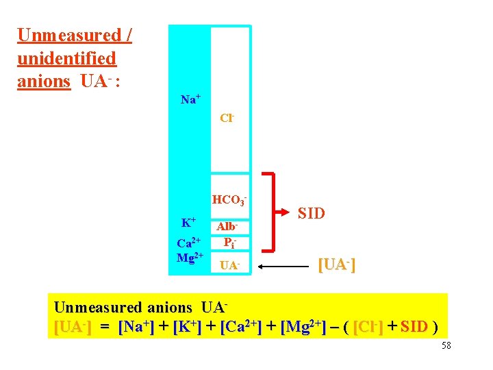 Unmeasured / unidentified anions UA- : Na+ Cl- HCO 3 K+ Alb- Ca 2+