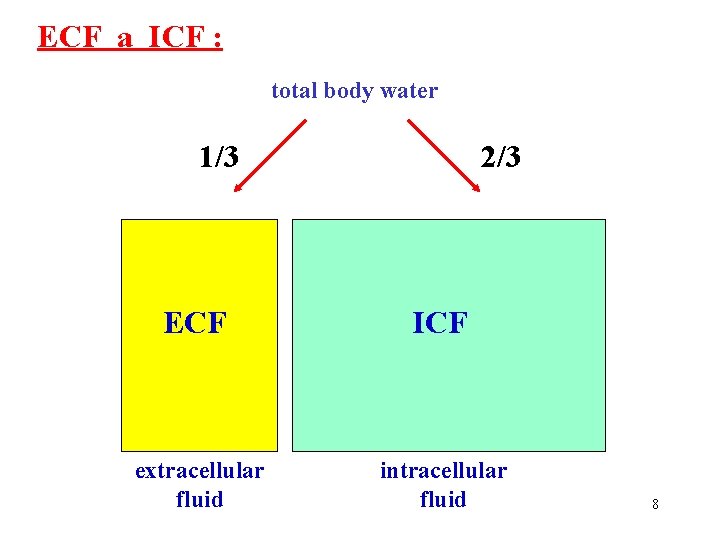 ECF a ICF : total body water 1/3 2/3 ECF ICF extracellular fluid intracellular