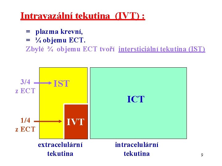 Intravazální tekutina (IVT) : = plazma krevní, = ¼ objemu ECT. Zbylé ¾ objemu