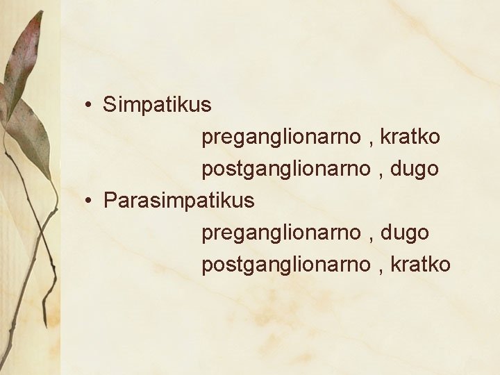  • Simpatikus preganglionarno , kratko postganglionarno , dugo • Parasimpatikus preganglionarno , dugo