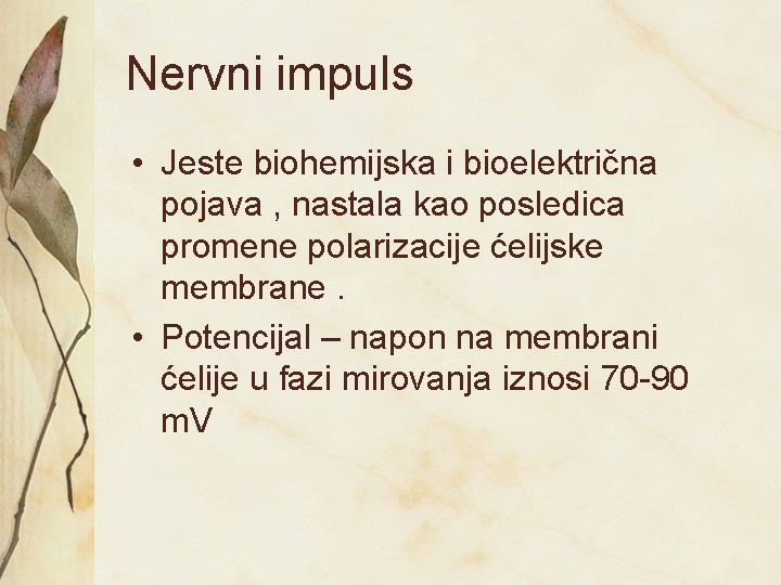 Nervni impuls • Jeste biohemijska i bioelektrična pojava , nastala kao posledica promene polarizacije Nervni impuls • Jeste biohemijska i bioelektrična pojava , nastala kao posledica promene polarizacije