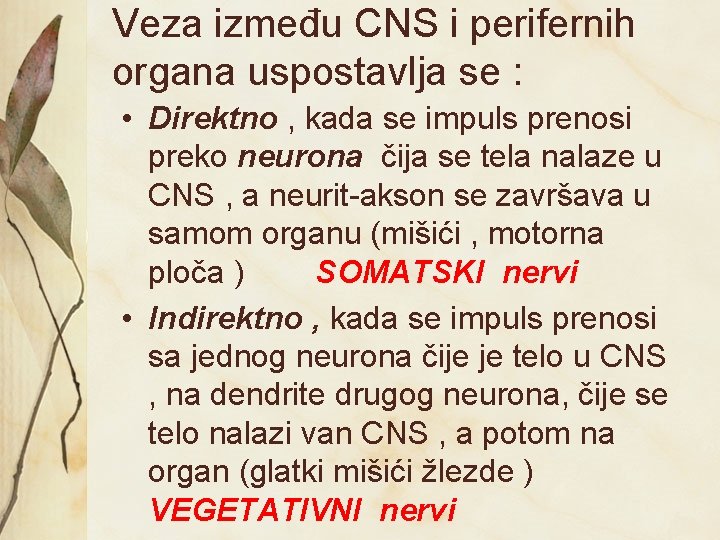 Veza između CNS i perifernih organa uspostavlja se : • Direktno , kada se