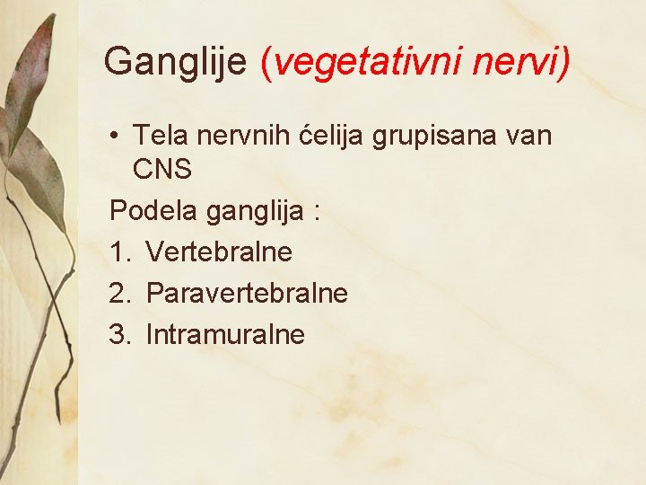 Ganglije (vegetativni nervi) • Tela nervnih ćelija grupisana van CNS Podela ganglija : 1. Ganglije (vegetativni nervi) • Tela nervnih ćelija grupisana van CNS Podela ganglija : 1.