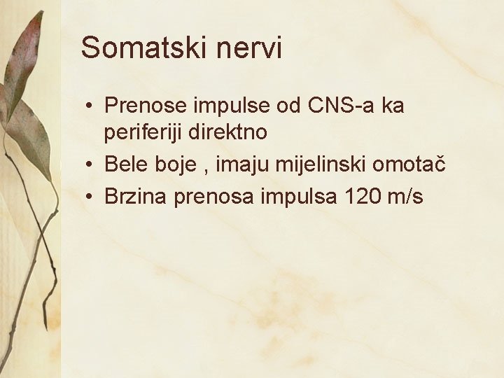 Somatski nervi • Prenose impulse od CNS-a ka periferiji direktno • Bele boje ,