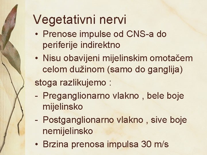 Vegetativni nervi • Prenose impulse od CNS-a do periferije indirektno • Nisu obavijeni mijelinskim