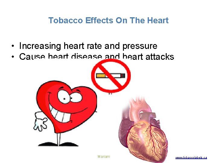 Tobacco Effects On The Heart • Increasing heart rate and pressure • Cause heart