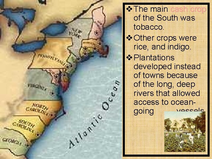 v The main cash crop of the South was tobacco. v Other crops were